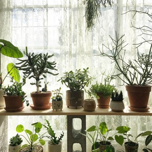 Meet your Posher, Kristin - Picture 1 of 2